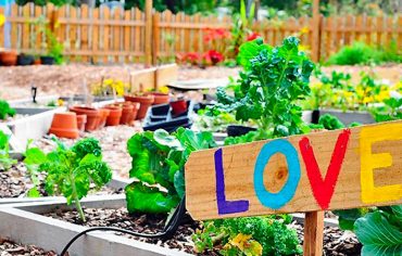 Garden Project American Space Madrid