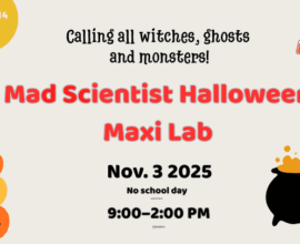 Halloween 3rd of November, no school day