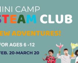 STEAM Club: New Adventures!